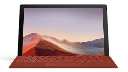 平舆清洁和维护 Surface